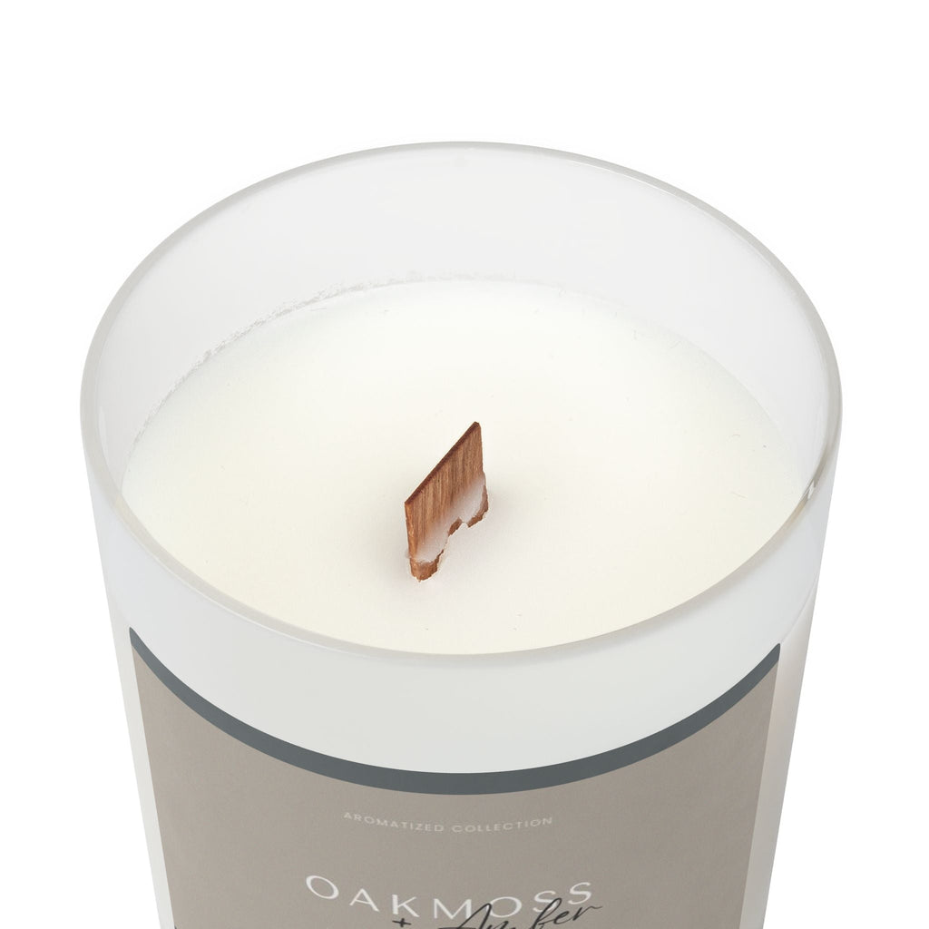 Oakmoss & Amber Scented Candle, 11oz Frosted Glass || Zodiac Decor, Re