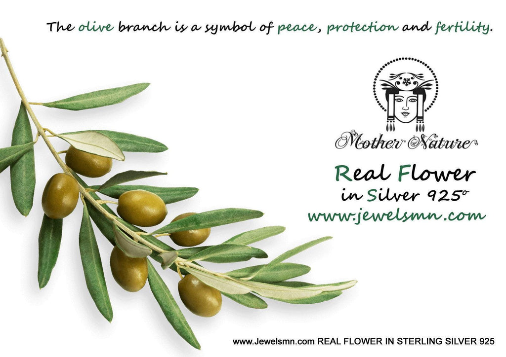 Olive Branch Decor: Nature-Inspired Centerpiece with Symbolic Meaning